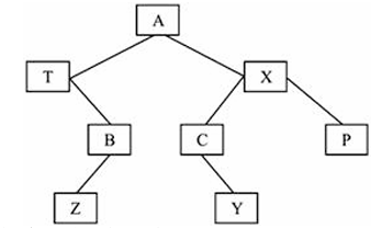 二叉树图 二叉树图
