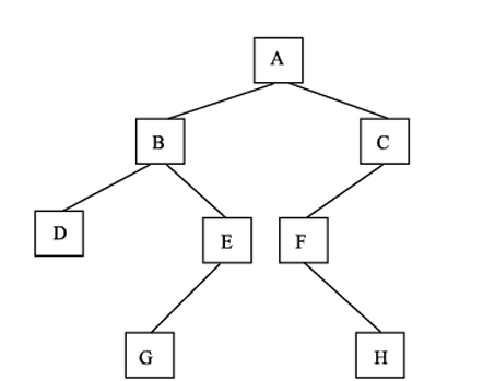 二叉树图 二叉树图