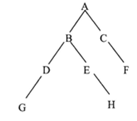 1743986857258575.png ce92e6630102ac071201fd5e5b49753.png